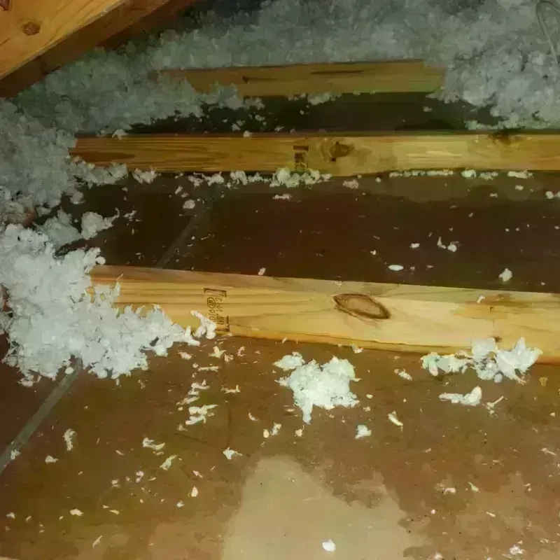 Attic Water Damage in Guayanilla, PR